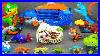 60-Minutes-Of-Satisfaction-With-Unboxing-Speedy-Dinosaur-Car-Track-Set-Asmr-Review-Toys-01-yy