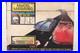 Aurora-Model-Motoring-Stirling-Moss-Table-Top-Racing-Set-Tracks-Cars-HO-Scale-01-pyzx